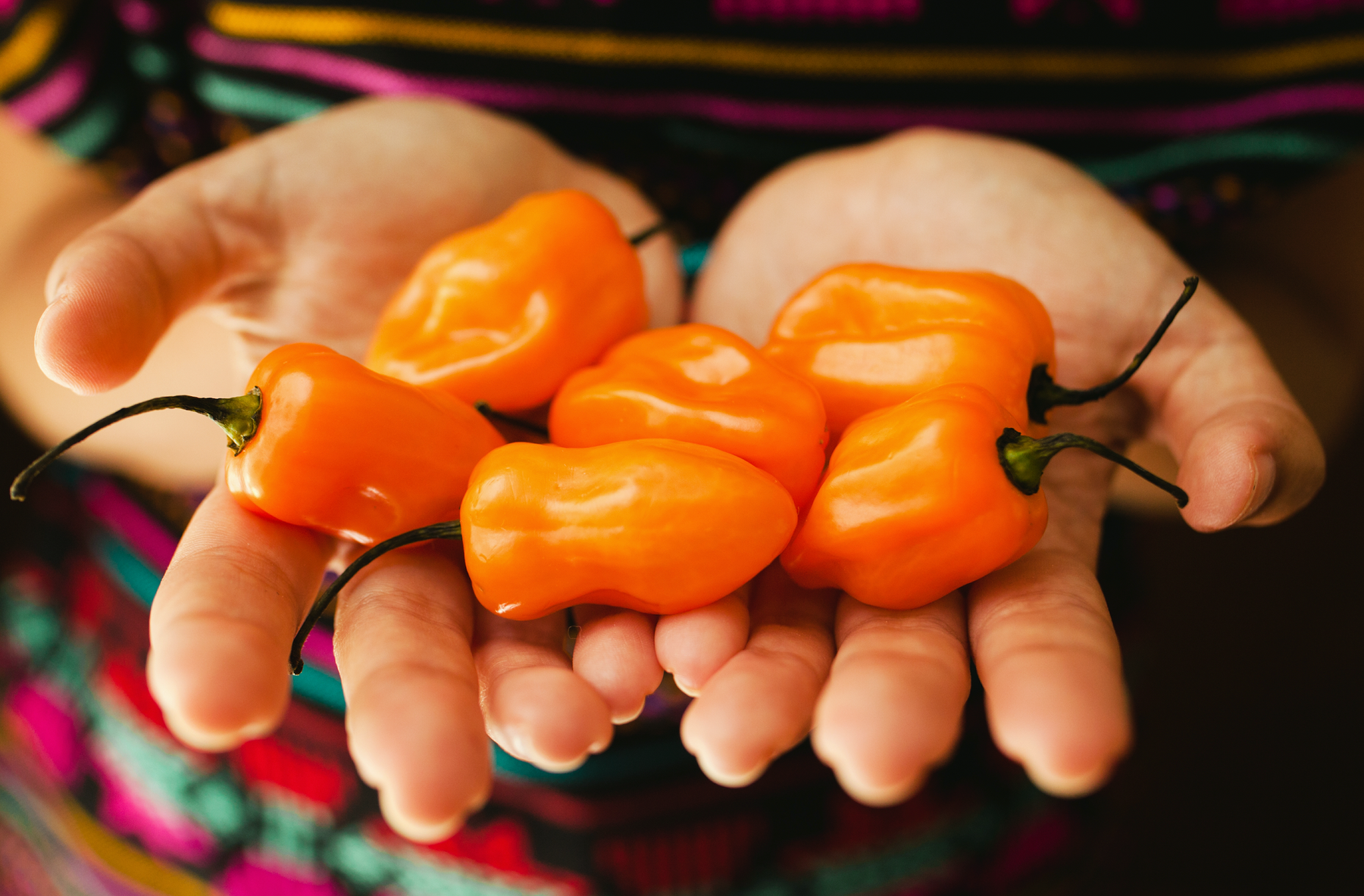 4 Things You Might Not Know About Habanero Peppers